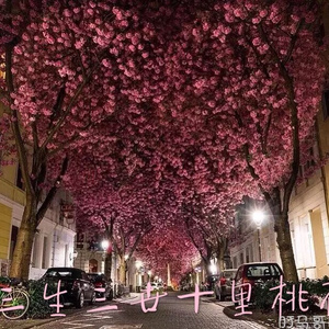 中国农村老太太特级黄片儿
